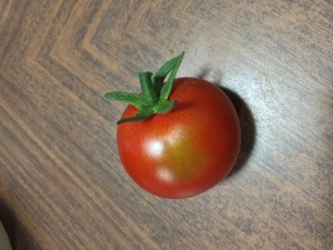 トマト，収穫