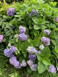 8D17ED4D-F9C9-40A3-8F33-97202ABEB76D