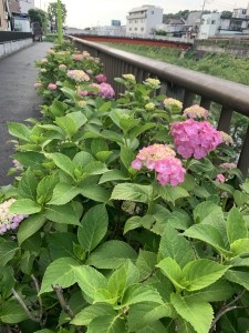 9E396B09-EF1C-42E4-B227-006BD4E74F5E