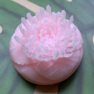 966C857F-12AE-4126-A969-6DD15150DBAE