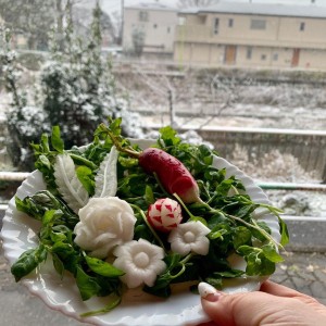 雪と七草