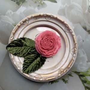 CF7E63C1-06EE-4D14-9983-2DE101F67A5B