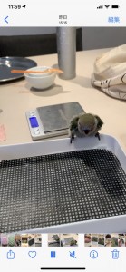 3B56EA39-34C3-445E-8CF7-8668DB3EB2FD