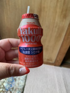 ヤクルト1000