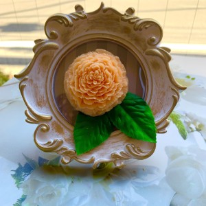 08CCAED3-D362-4BDA-BC9E-A31284C1F096