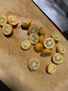 F270BA64-FF2E-40AB-ACE5-9088068D87CD