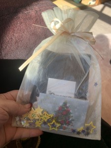 爪ありソックス