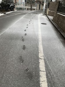 雪に足跡