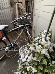 東京雪