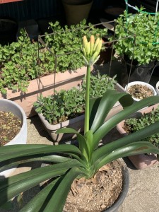 067E8744-80CD-45DB-BA55-E606A998E078