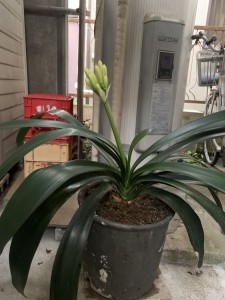 2AE056E4-8A81-4D76-AD9F-16444247B5E2