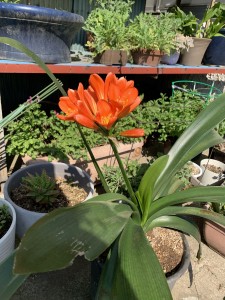 3BF3DCE7-792E-41EC-B783-AA03EA86C5B8