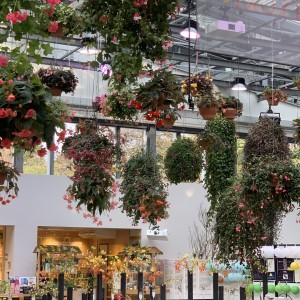 50EBC28E-25E1-4F0A-8F02-3346CFBAF407