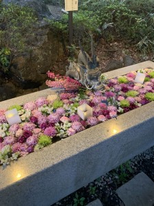 68E29E8F-B457-41BC-9C86-DE477F59EEDD