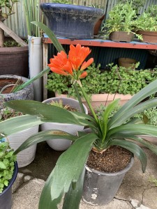 6CC931F7-7EB2-4B43-B92A-DFE54833CCA2