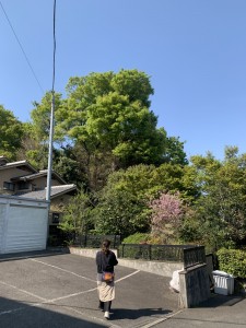 988ABD8D-9B77-47EC-96EE-A469322ECAA0