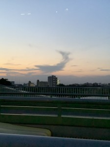 クジラ雲