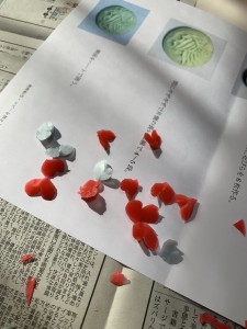 ソープカービング習い事