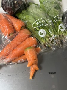 ニンジンが走る